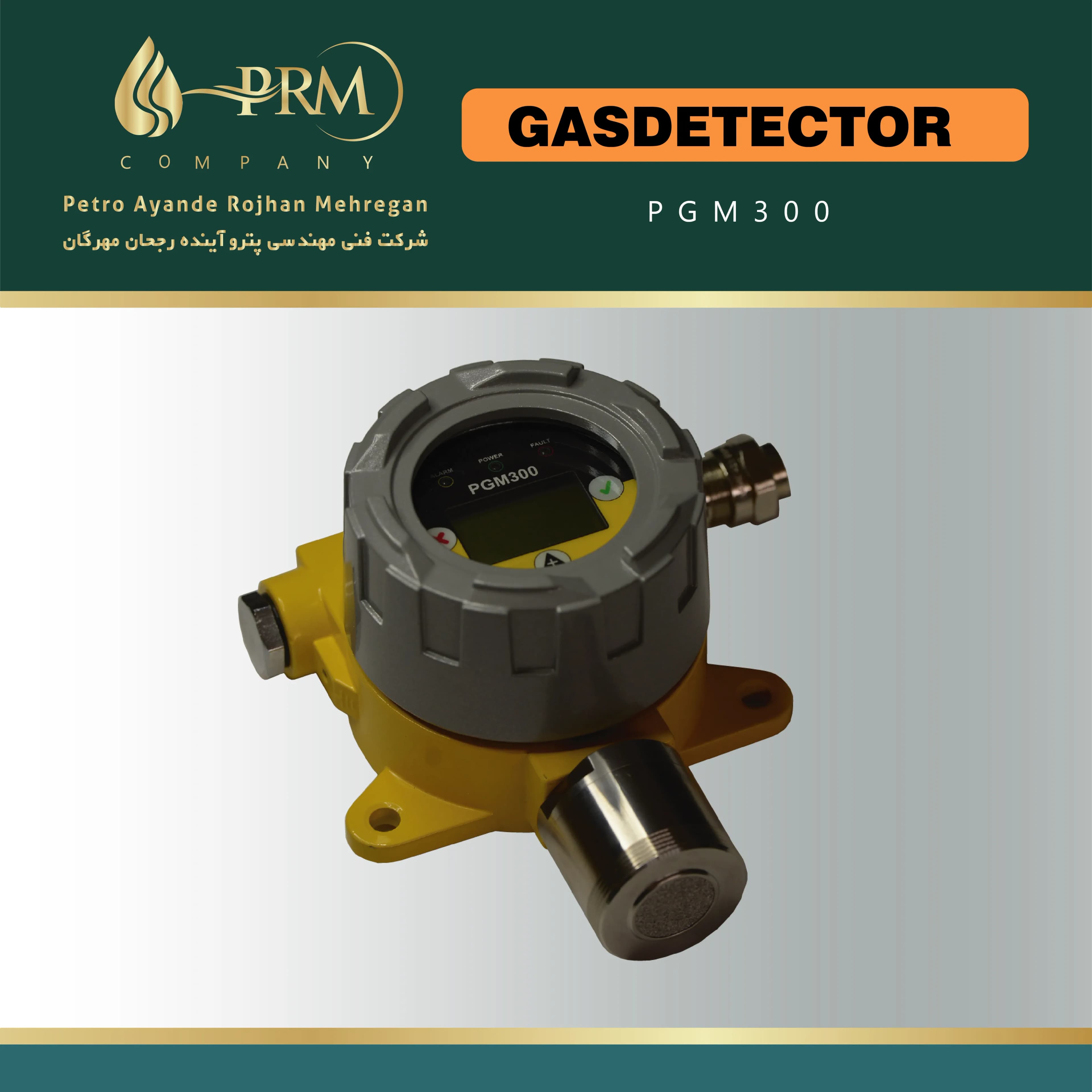 GASDETECTOR-PGM300